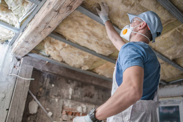 Best Insulation Installation Services in Bithlo, FL