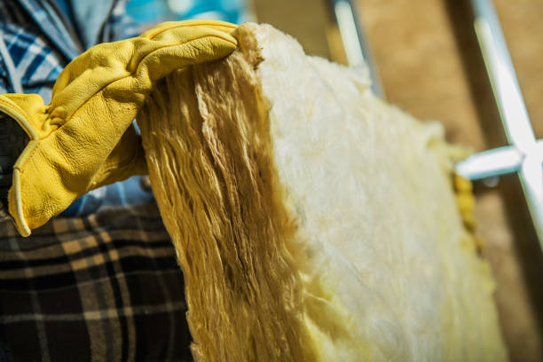 Best Residential Insulation in Bithlo, FL