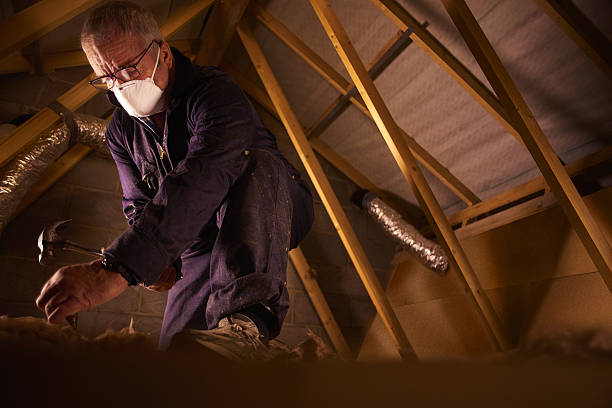 Best Types of Insulation in Bithlo, FL